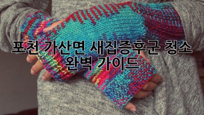 포천 가산면 새집증후군 청소 완벽 가이드