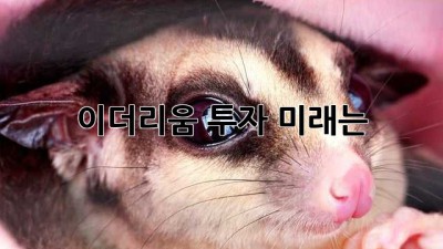 이더리움 투자, 미래는? 🚀