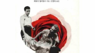 놓치면 후회! 욕망이라는이름의전차 솔직 후기 & 꿀팁 대방출 🤩